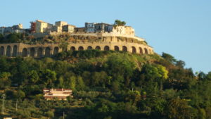 DSC07486