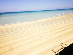 mare